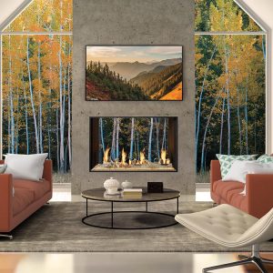 Da Vinci See-through fireplace