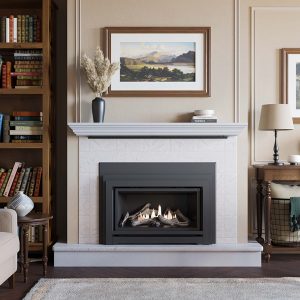 Blaze King Clarity 2714 Gas Insert